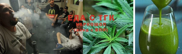 гидра Абаза