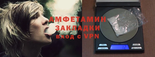 гидра Абаза
