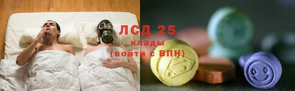 спиды Дубна