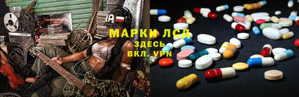 гидра Абаза