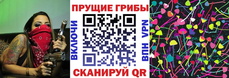 что такое   Нариманов  Псилоцибиновые грибы ЛСД 